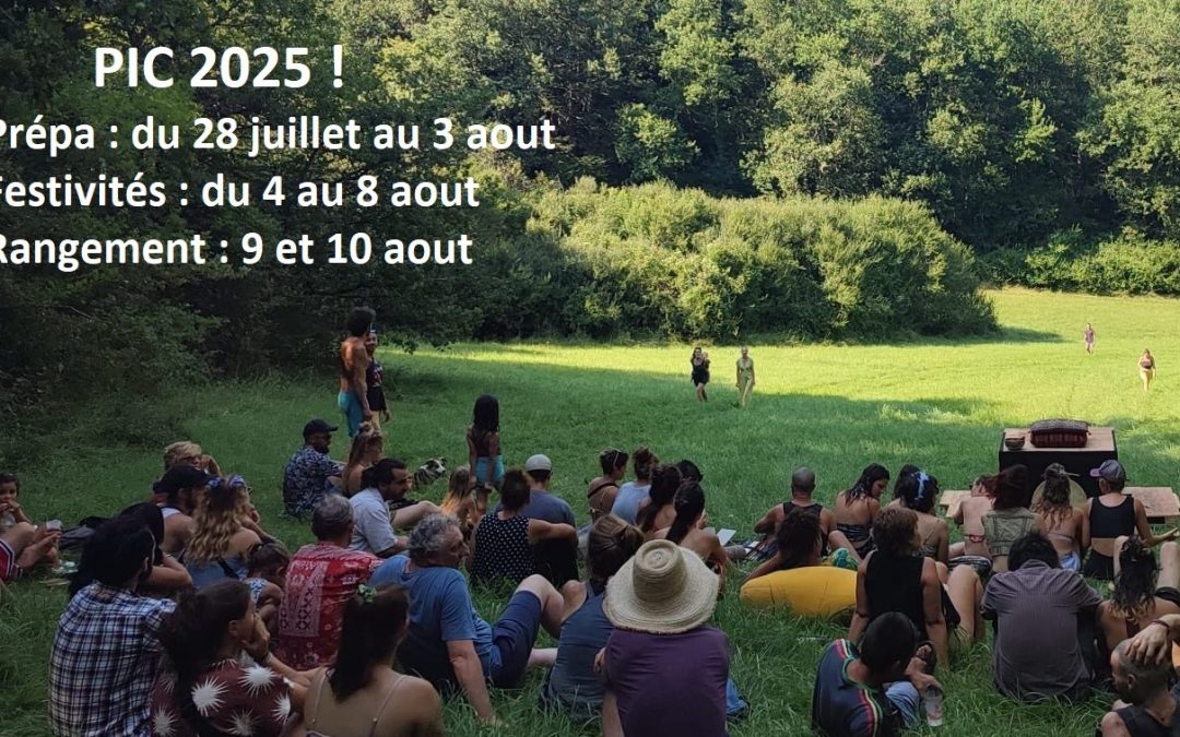 PIC – 2025